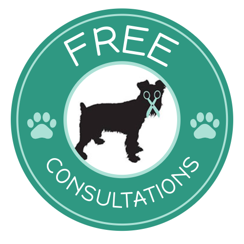 free consultations badge